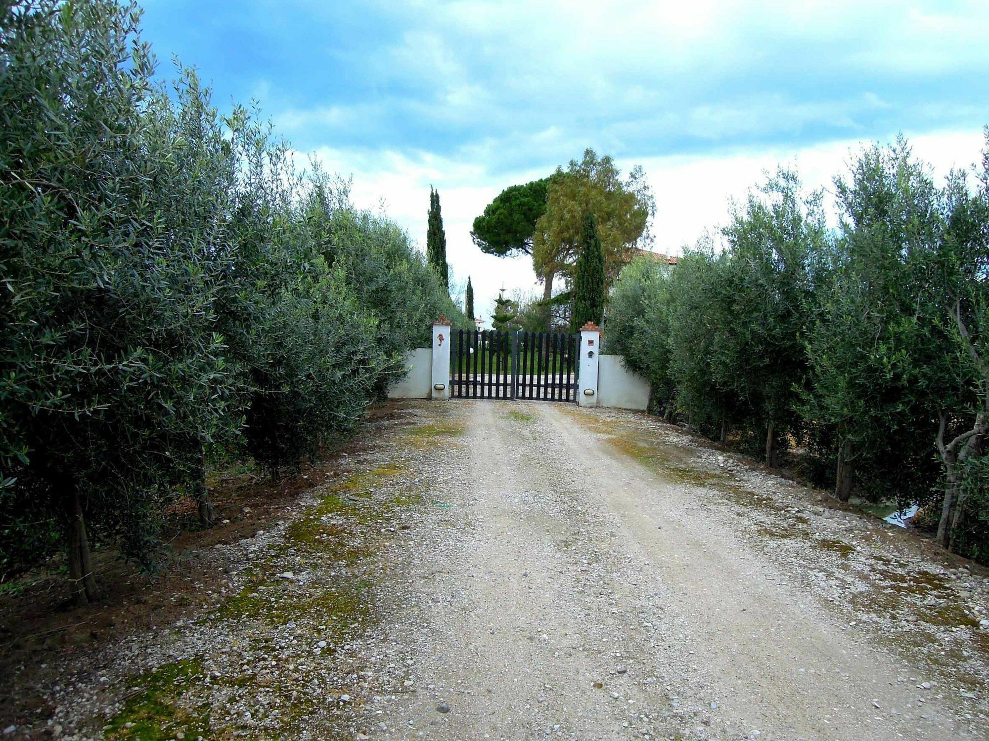 Azienda Agricola Il Melograno Agropoli Exterior photo